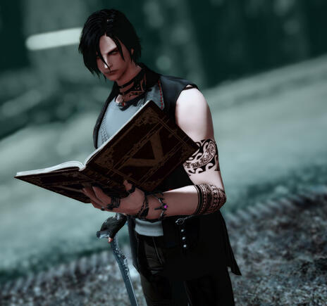 DMC - V the Mysterious One